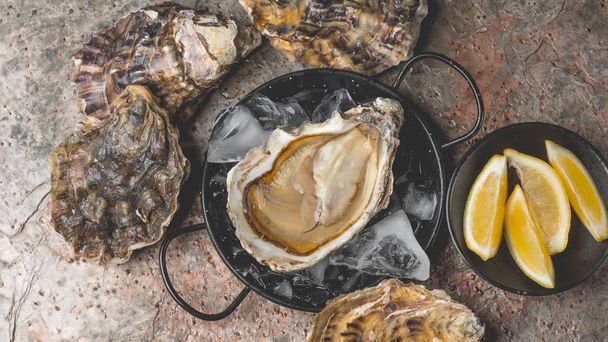 close-up of  delicious oysters in ice on black metal bowl with fresh lemon on stone background - Φωτογραφία, εικόνα