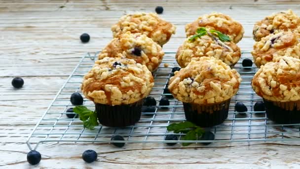 delicious homemade muffins with blueberries on metal grid - Video, Çekim