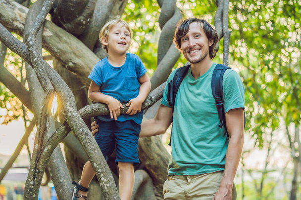 isä ja poika katsomassa trooppisia lianoja märissä trooppisissa metsissä
. - Valokuva, kuva