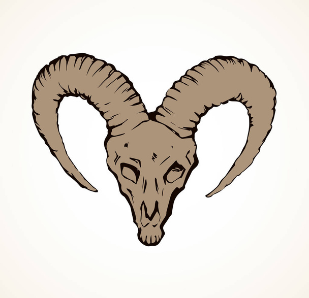 Skull of ox. Vector drawing - Vector, Image