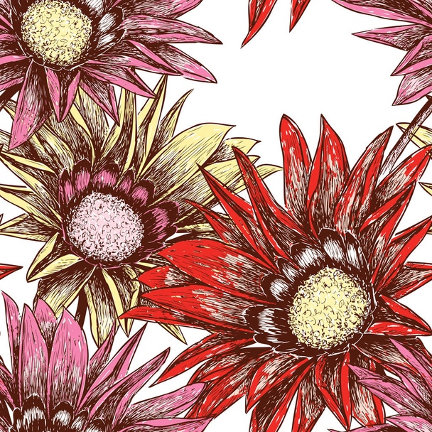 patrón de los crisantemos de jardín
 - Vector, imagen