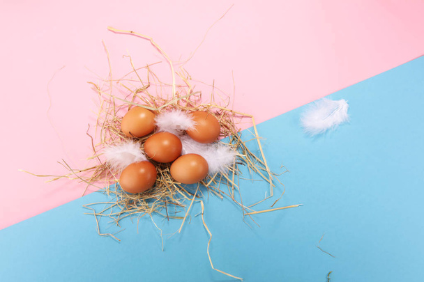 Яйцо. Свежие фермерские яйца на цветной бумаге
. - Фото, изображение