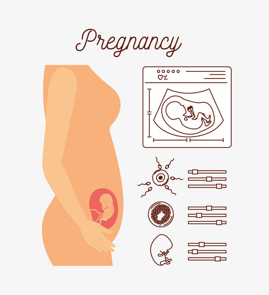 белый фон с цветовым силуэтом процесса беременности в женском теле
 - Вектор,изображение