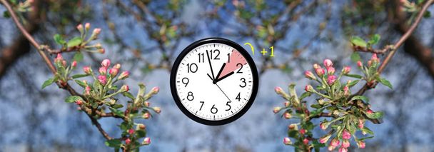 Daylight Saving Time. DST. Wall Clock going to winter time. - Photo, Image