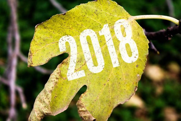 2018 painted on leaf,happy new year concept - Photo, Image