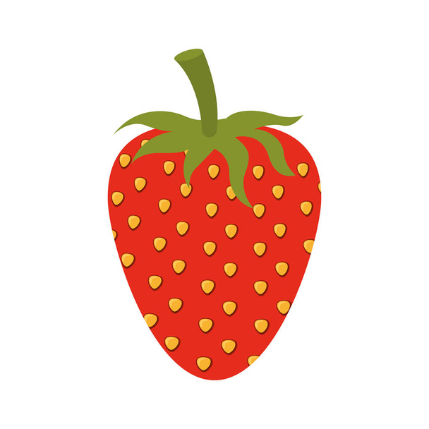 white background of strawberry fruit to color - Vector, Image