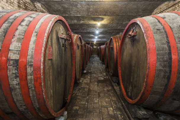 Barricas de vino en bodega antigua
 - Foto, Imagen