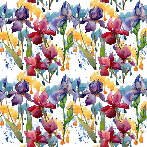 Wildflower iris kwiatki w stylu przypominającym akwarele. - Zdjęcie, obraz