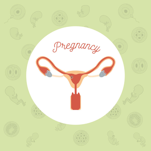 blue color background pattern pregnancy icons with fecundation in female reproductive organ - Vector, Image