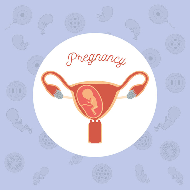 couleur jaune motif de fond icônes de grossesse avec la croissance humaine du foetus dans le trimestrer placenta dans l'organe reproducteur femelle
 - Vecteur, image