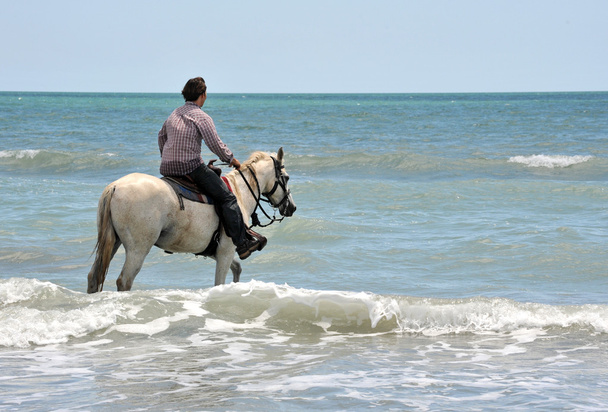 Man and horse in sea - Fotoğraf, Görsel