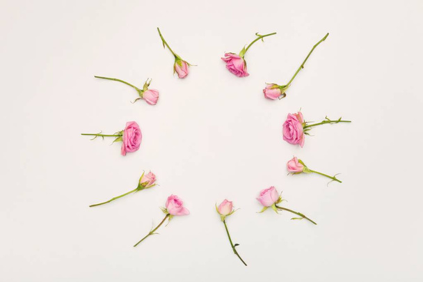 close-up of pink rose flowers on background - Valokuva, kuva
