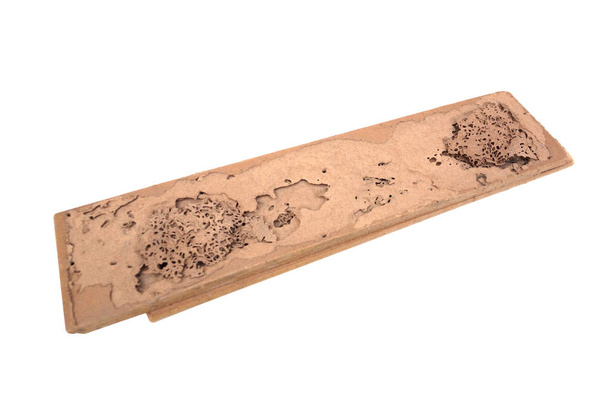 Una tabla de madera destruida por termitas aisladas en blanco
                               - Foto, Imagen