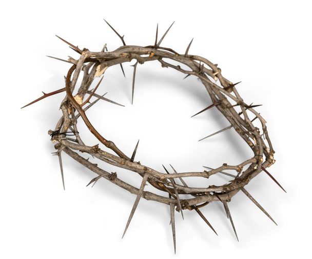 Crown of thorns on background, close-up view  - Photo, Image