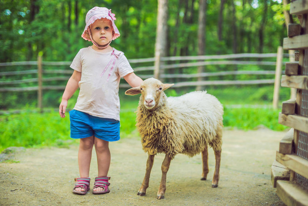 little girl with lamb on the farm. - Φωτογραφία, εικόνα