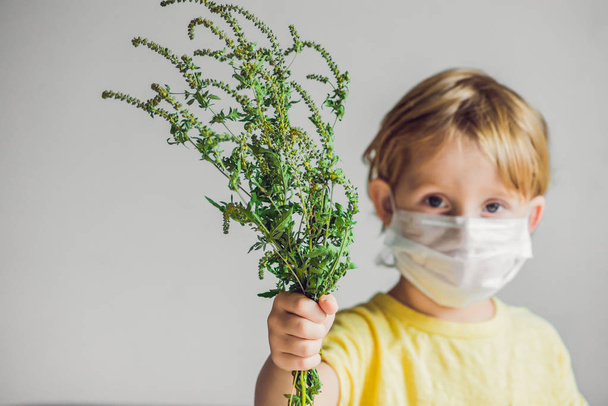 Boy is allergic to ragweed. In a medical mask, he holds a ragweed bush in his hands. Allergy to ambrosia concept.. - Photo, Image