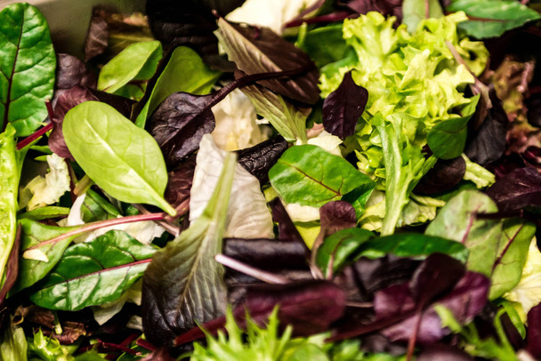 Fresh salad with mixed greens lettuce arugula, mesclun, mache close up Healthy food Green meal - Foto, immagini