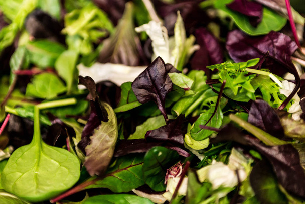 Свежий салат со смешанными зелеными салатами руккола, меслоун, маше закрыть здоровую пищу Зеленая еда
 - Фото, изображение