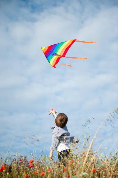 happy caucasian little boy standing among grass holding flying colorful kite on blue sky background - Foto, afbeelding
