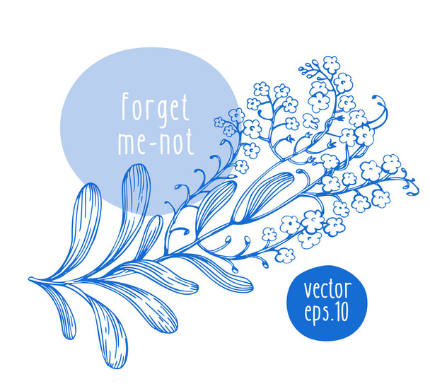 Hand drawn vintage forgot-me-not. Vector blooming flower. Botanical illustration. Can be use for wedding invitations and greeting cards, page decoration, packaging. - Vektor, Bild