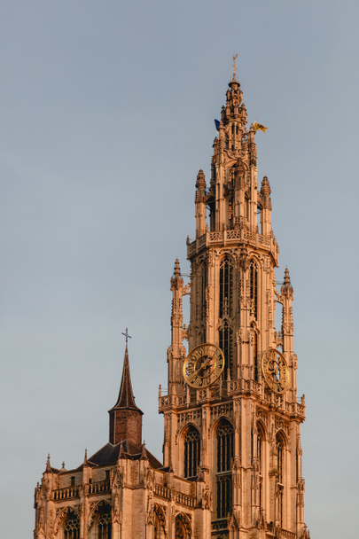 catedral de nuestra señora
 - Foto, imagen