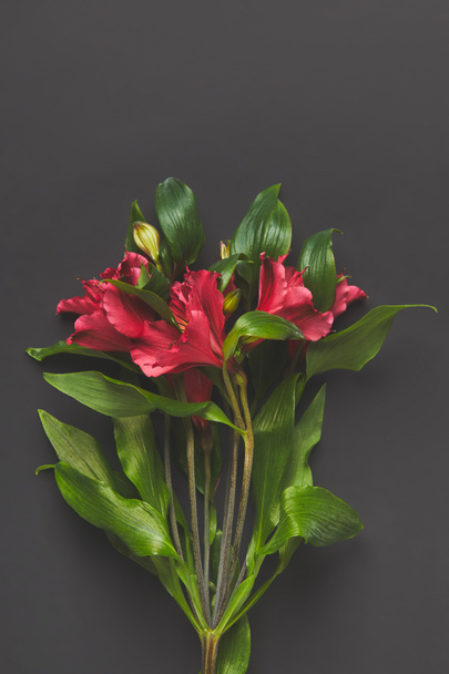top view of Alstroemeria flowers bouquet on dark grey, mothers day concept - Photo, Image
