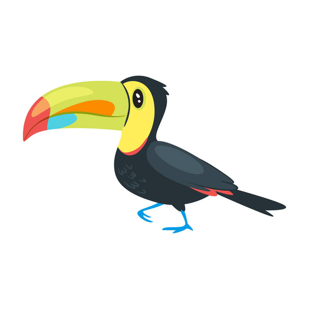 zoo animal - toucan - Vettoriali, immagini