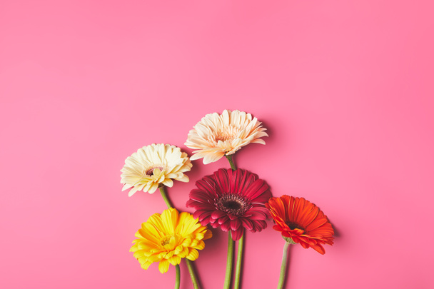 top view of bunch of beautiful Gerbera flowers on pink, mothers day concept - Zdjęcie, obraz
