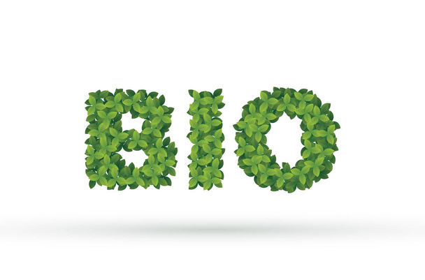 Vector illustration, realistic foliage in a shape of word Bio. - Vetor, Imagem