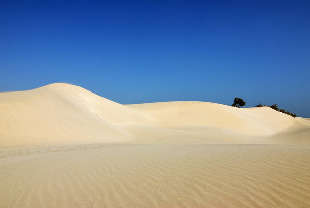 Aomak desert, Socotra island, Yemen - Фото, изображение
