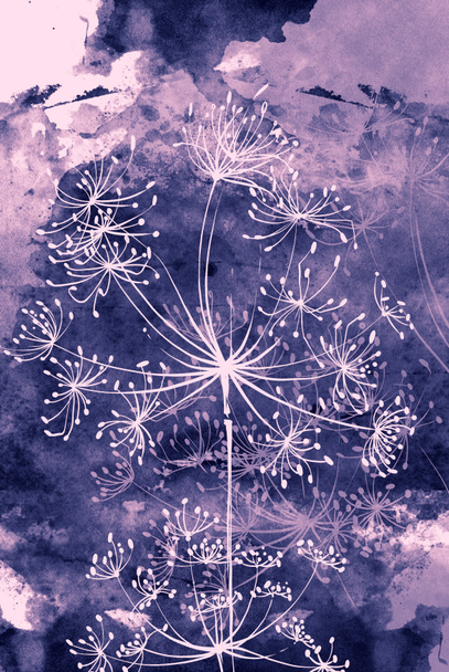 Aquarell und digitale Skizze: abstrakte Zweige einer Doldenblume  - Foto, Bild