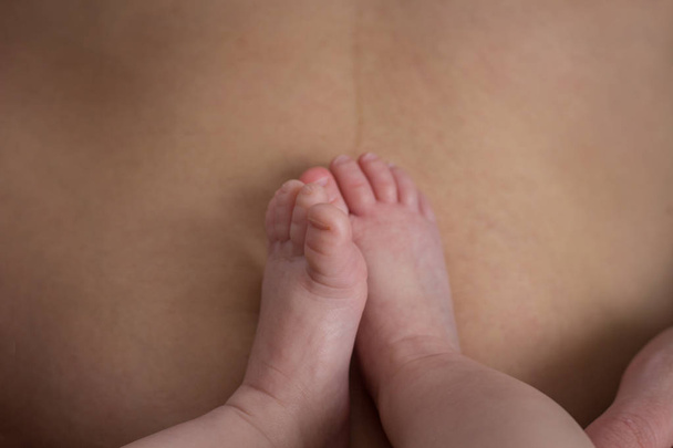 Patas de bebé en el vientre de la madre. El concepto de una familia feliz
 - Foto, Imagen