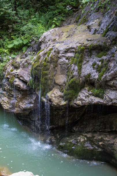 夏の森のコケに覆われた石の上の小さな滝 - 写真・画像