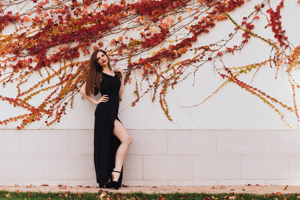 girl in black dress posing against wall, outdoors - Photo, Image