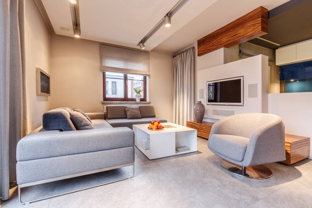 Contemporary living room interior - Fotografie, Obrázek