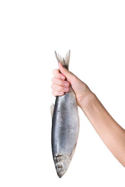 обрезанное изображение женщины, держащей в руке рыбу, изолированное на белом
 - Фото, изображение