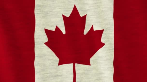 Closeup Kanada bayrağı rüzgarda üfleme. - Video, Çekim