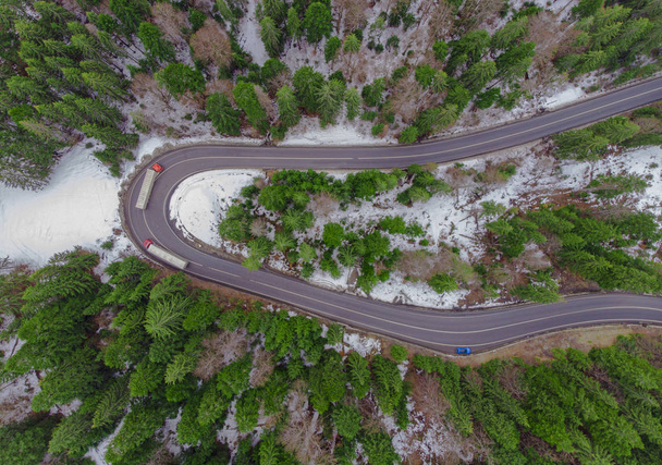 aerial view of road in the forest with cars and truck. - Foto, afbeelding