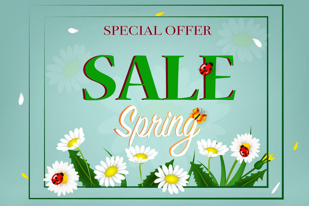 Fresh spring background with grass, dandelions and daisies. Design banner with spring is here logo. Card for spring season. Design Template for banner, flyers, invitation, poster. - Vettoriali, immagini
