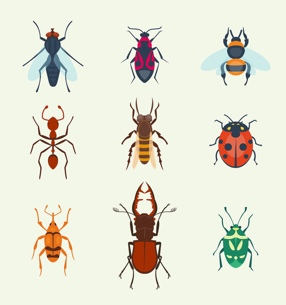 Vector insects icons isolated on background colorful top view illustration of wildlife wing fly insects detail macro animalssummer bugs illustration. - Vektori, kuva