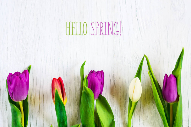 Hermosos tulipanes sobre fondo de madera blanca. La inscripción Hola primavera. Copiar espacio
. - Foto, imagen