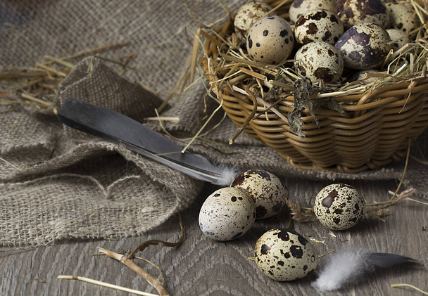 Перепелиные яйца в гнезде на деревенском деревянном фоне. Концепция здорового питания. - Фото, изображение