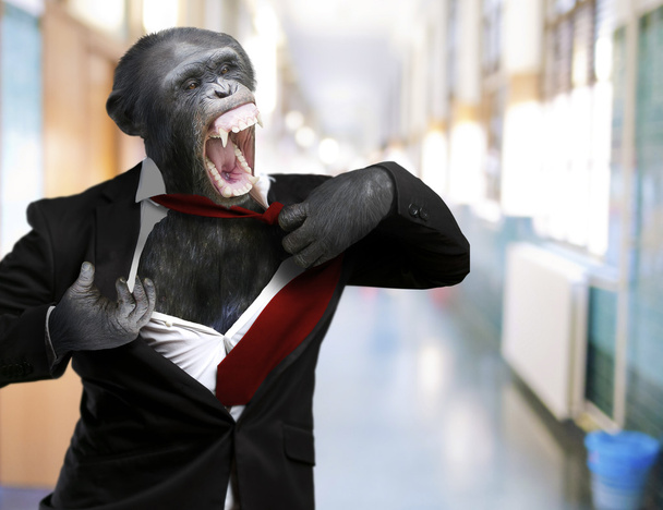Annoyed Monkey Shouting - Photo, Image