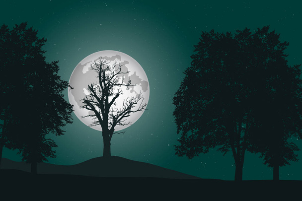 vector illustration of a deep deciduous forest under a night sky - Vector, Image