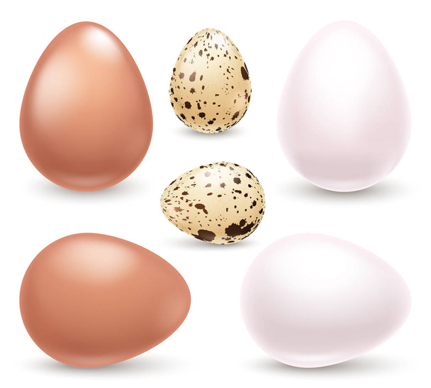 Set of realistic eggs on white background. Easter collection. Vector illustration. - Vektor, obrázek