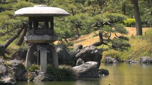 Lucerna v japonské zahradě midium střílel na Kiyosumi Shirakawa / jeho tradiční park v Tokiu. fotoaparát: Canon Eos 7d - Záběry, video