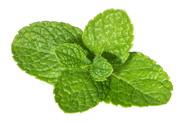 Mint leaves isolated without shadow - Photo, Image