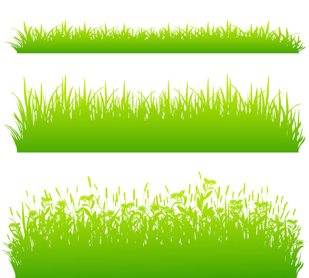 Границы зеленой травы изолированы на белом фоне
 - Вектор,изображение
