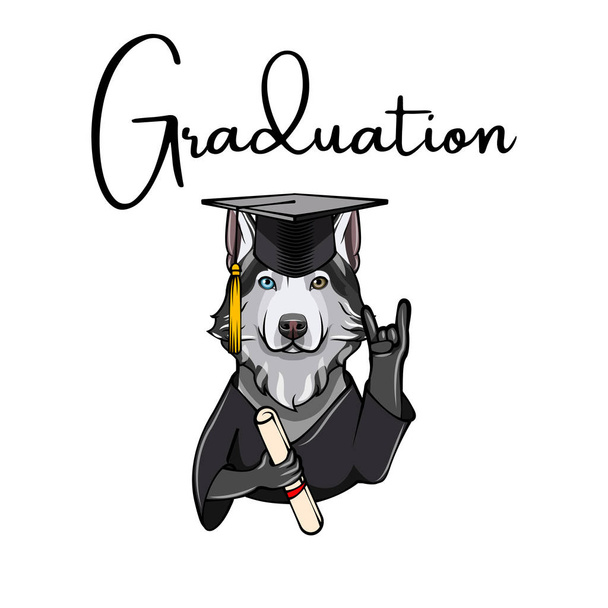 Siberian Husky graduate. Dog with diploma and graduate s cap. Vector illustration. - Wektor, obraz