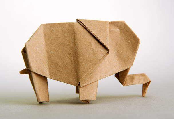 Origami elephant, on grey background - Foto, Imagem